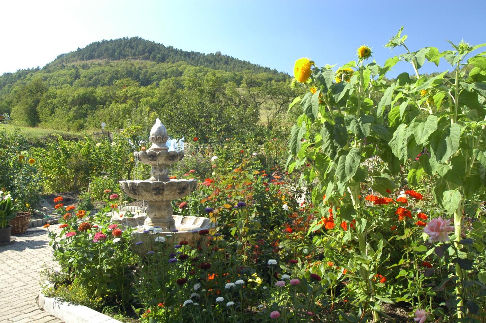 Hotel Haus Orchideental Jena Buitenkant foto